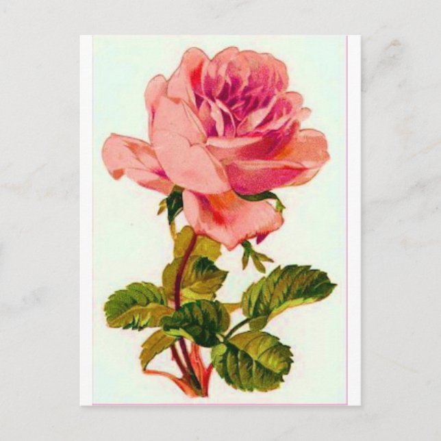 Cartão Postal Flores (Frente)