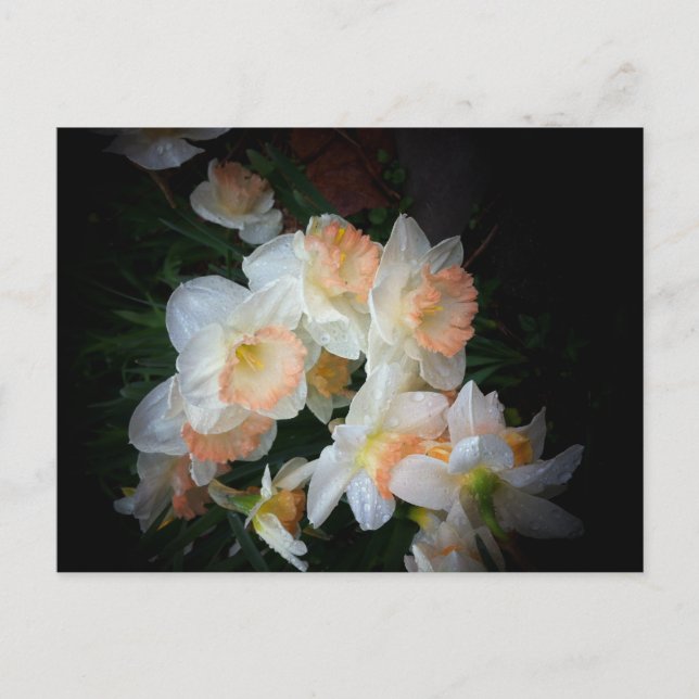 Cartão Postal flores (Frente)