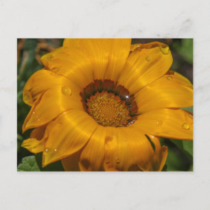 Cartão Postal Flores