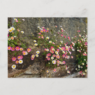 Cartão Postal Flores