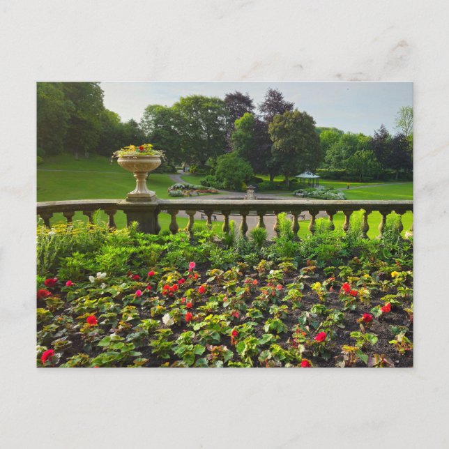 Cartão Postal Flores (Frente)