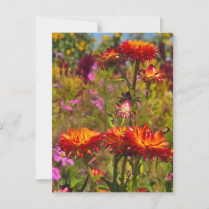 Cartão Postal Flores