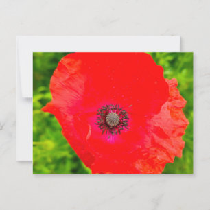 Cartão Postal Flores