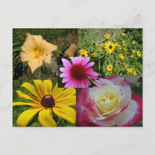 Cartão Postal Flores