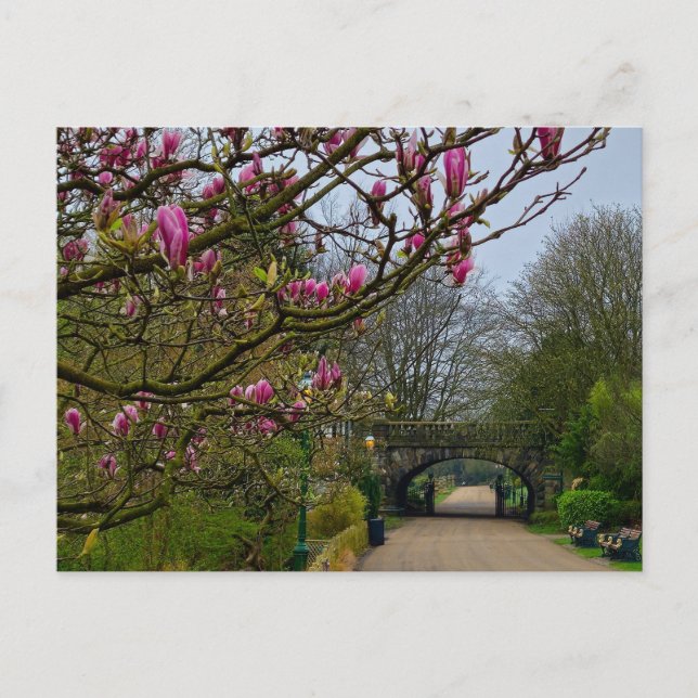 Cartão Postal Flores (Frente)