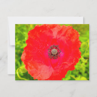 Cartão Postal Flores