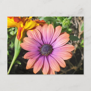 Cartão Postal Flores