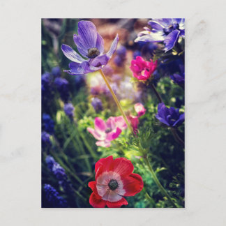 Cartão Postal Flores
