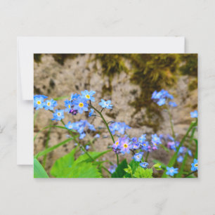 Cartão Postal Flores