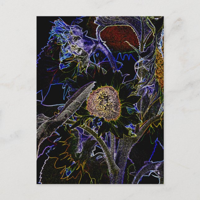 CARTÃO POSTAL FLORES (Frente)