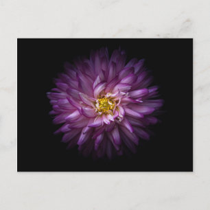 Cartão Postal Flores 20
