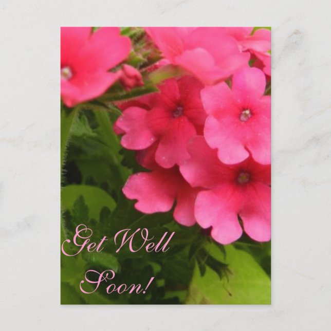 Cartão Postal Flores Abençoadas Recupere-se Logo (Frente)