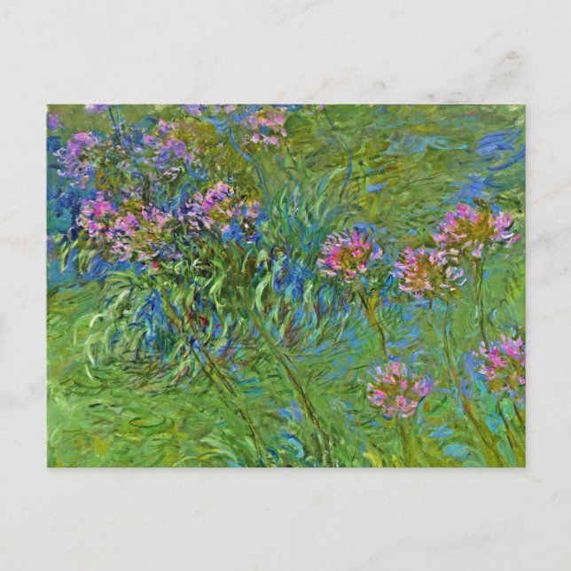 Cartão Postal Flores Agapanthus de Monet (Frente)