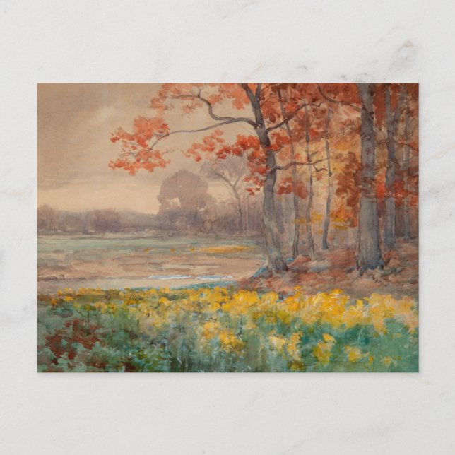 Cartão Postal Flores Amarelas Dia Cinzento, 1911 (Frente)