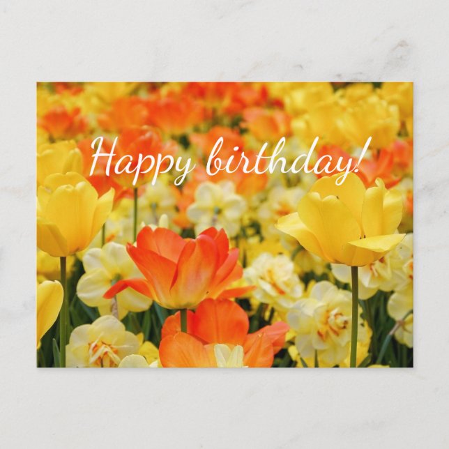 Cartão Postal Flores amarelas e laranja (Frente)