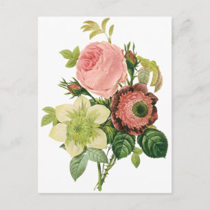 Cartão Postal Flores Antigas, Anêmonas Rosas Clematite por Redou