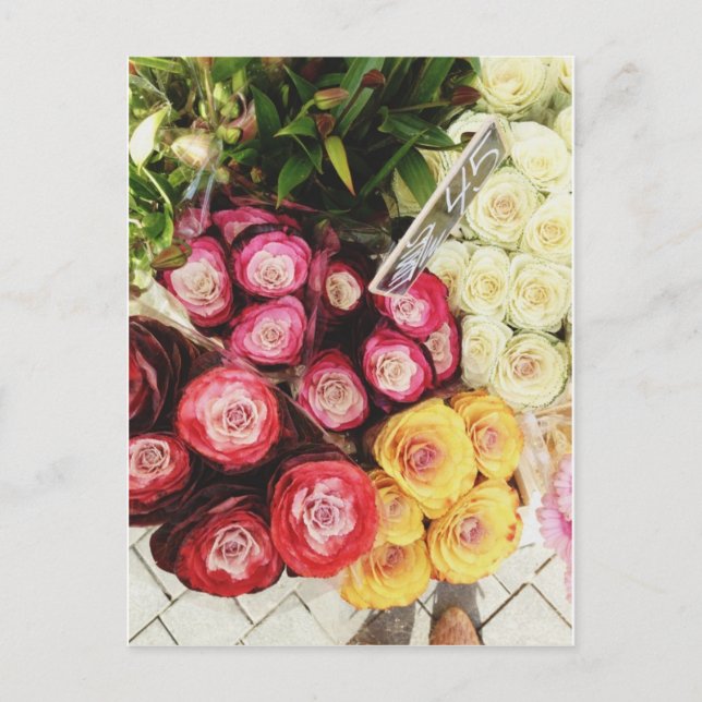 Cartão Postal Flores arco-íris de Copenhaga (Frente)