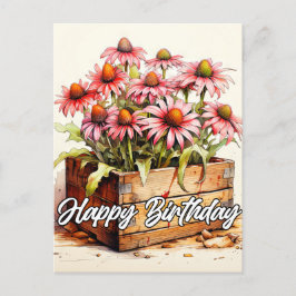 Cartão Postal Flores Aster Plantadas Bonitas