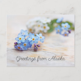 Cartão Postal Flores Azuis Não me esqueças Saudações do Alasca