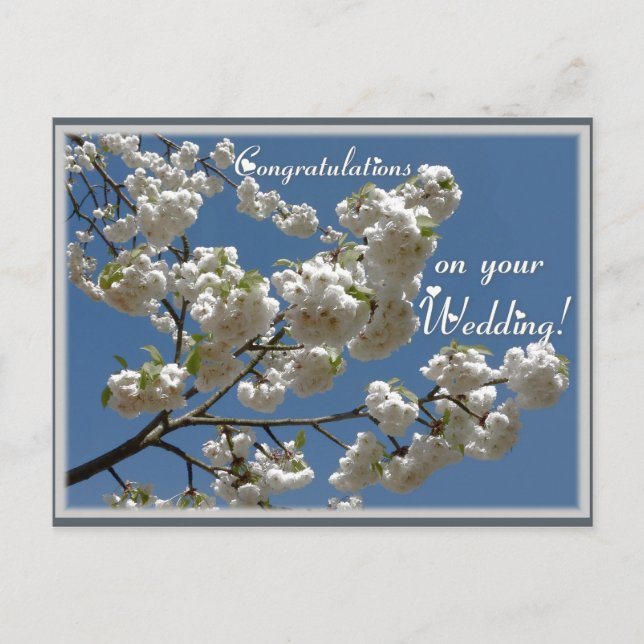 Cartão Postal Flores brancas (Frente)