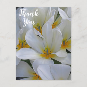 Cartão Postal Flores Brancas e Amarelas Obrigado