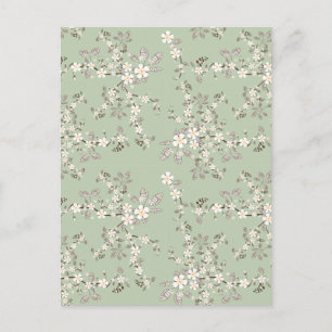 Cartão Postal Flores brancas lindíssimas vinhas florescem