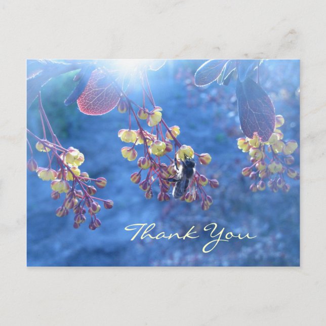 Cartão Postal Flores da abelha e do Berberis (Frente)