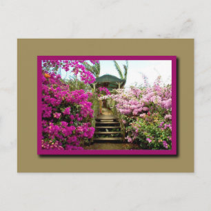 Cartão Postal Flores da Costa Rica 01