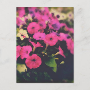 Cartão Postal Flores da Grocery Store