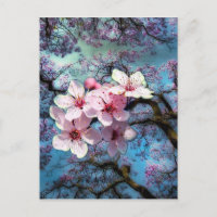 Flores da primavera