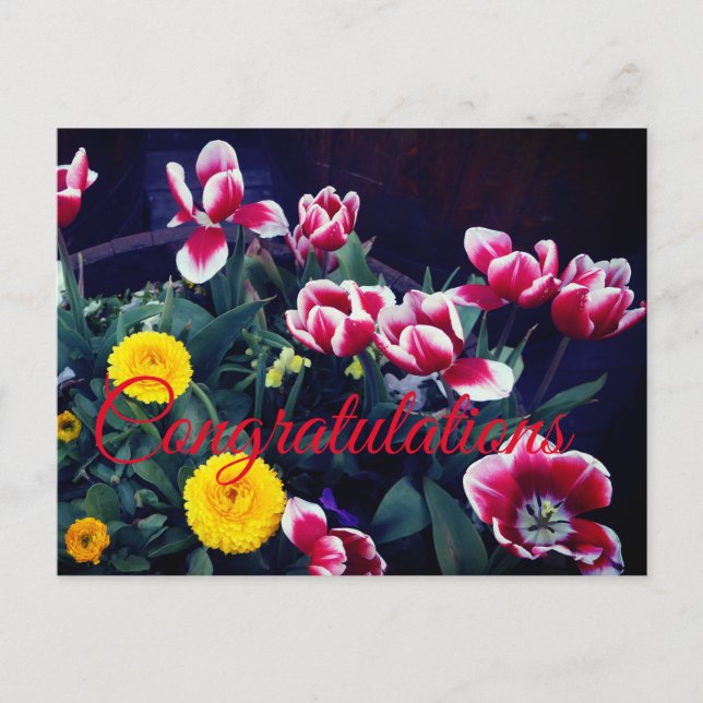 Cartão postal Flores da Primavera #4 (Frente)