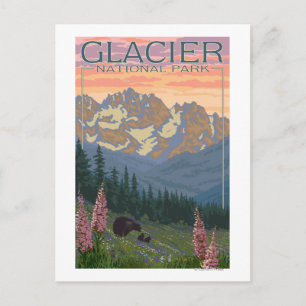 Cartão Postal Flores da primavera - Parque Nacional Glacier, MT