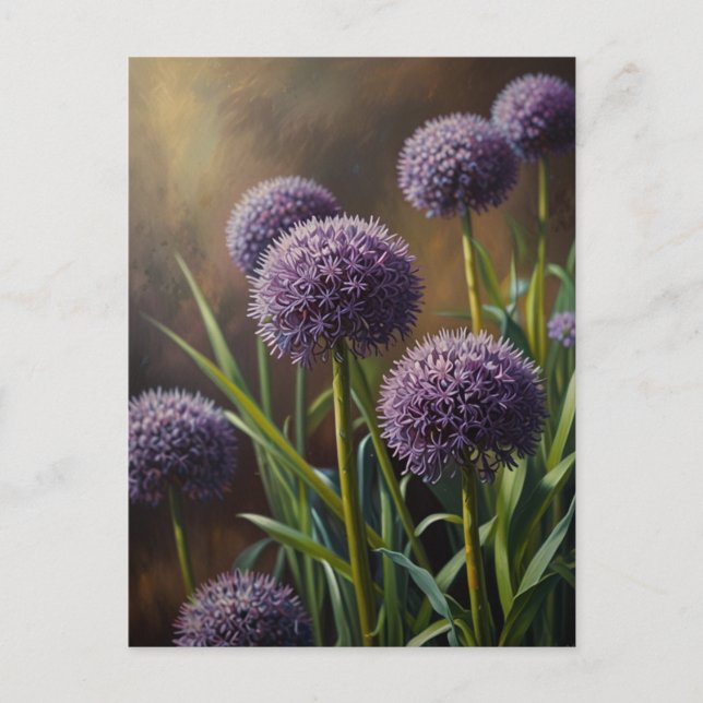 Cartão Postal Flores de Allium (Frente)