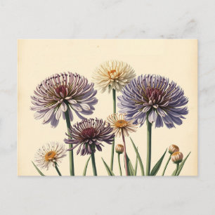 Cartão Postal Flores de Allium sem som em papel envelhecido