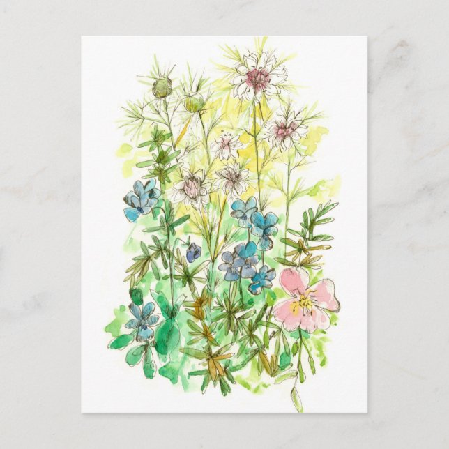 Cartão Postal Flores de Aquarela Primavera Jardim Nigella Viola (Frente)