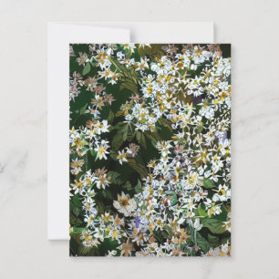 CARTÃO POSTAL FLORES DE ASTER