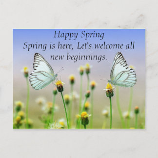 Cartão Postal Flores de Borboletas