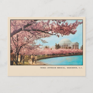 Cartão Postal Flores de Cerejeira do Memorial Jefferson em Washi