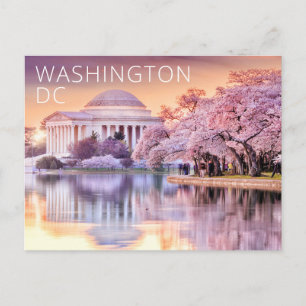 Cartão Postal Flores de Cerejeira no Memorial Jefferson em Washi