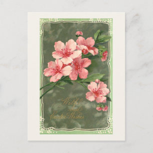 Cartão Postal Flores de Cerejeira Rosa Vintage e Saudação de Pás