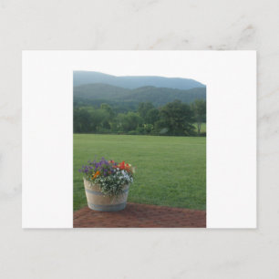 Cartão Postal Flores de Cordilheira Azul