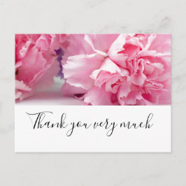 Cartão Postal Flores de cravo rosa estão em fundo branco
