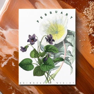 Cartão Postal Flores de Fevereiro: Prímula e Violeta