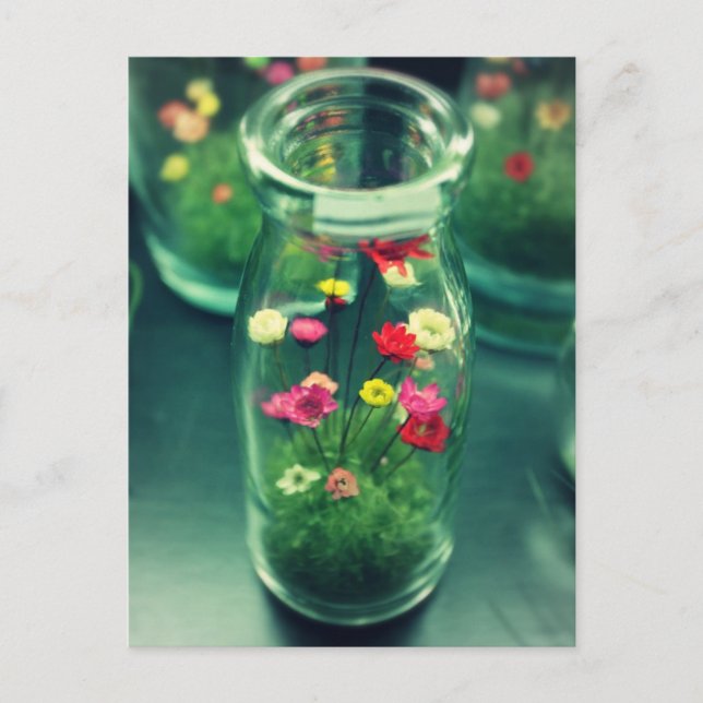 Cartão Postal Flores de fundo (Frente)