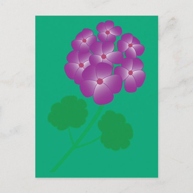 Cartão Postal Flores de Gerânio (Frente)
