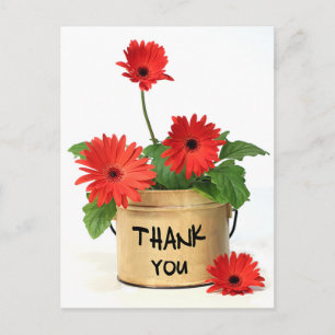 Cartão Postal Flores de Gerbera Amarela Vermelha de Agradeciment