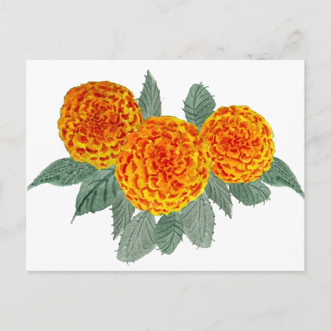Cartão Postal Flores de Hortênsia Laranja (Frente)