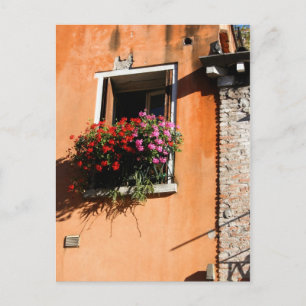 Cartão Postal Flores de Janela