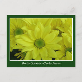 Cartão Postal Flores de jardim BC