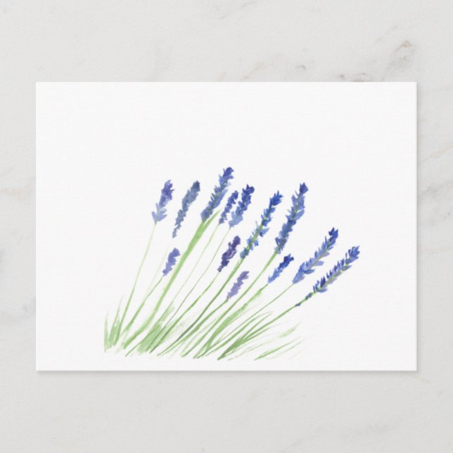 Cartão Postal Flores de lavanda Aguarela floral roxa (Frente)